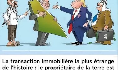 نهاية الردع: حين يسقط الحصن النفسي قبل العسكري