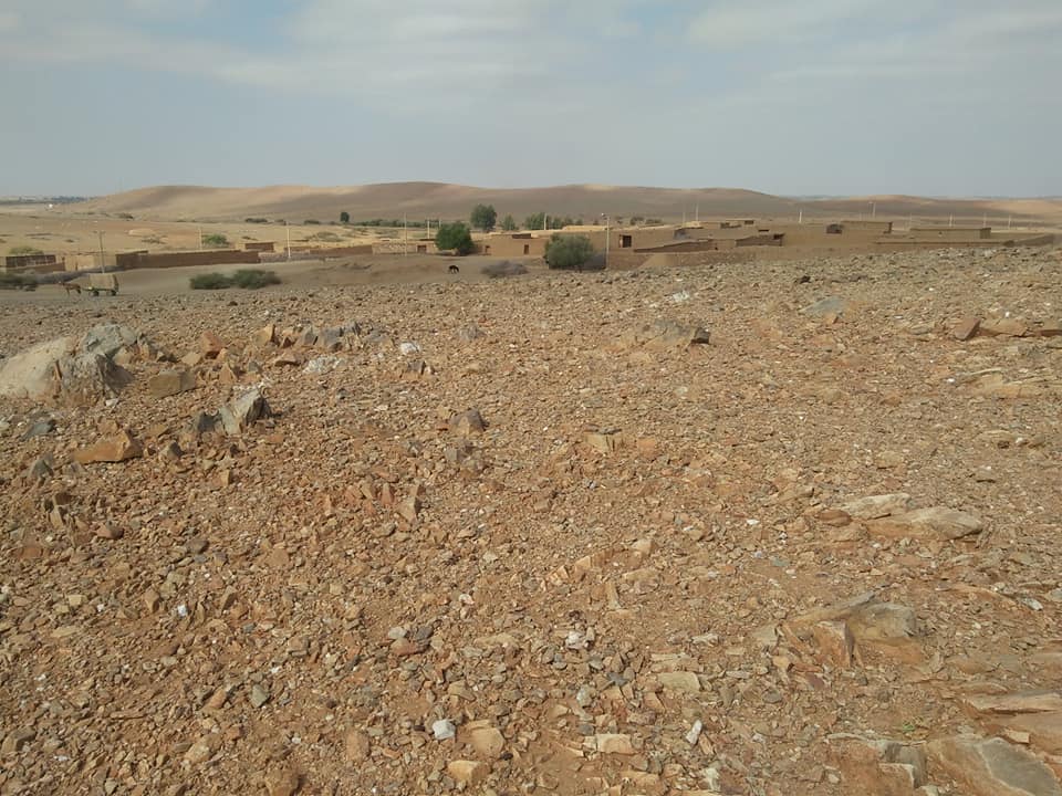 دوار الخُلِيدات مساهمة في التعريف